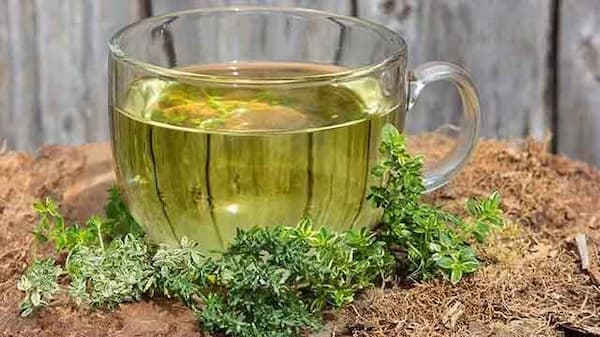 تصویر 5 از قیمت خرید عرق آویشن کوهی با فروش عمده