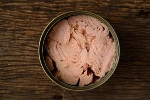تصویر 3 از قیمت خرید تن ماهی ممتاز جنوب + فروش ویژه