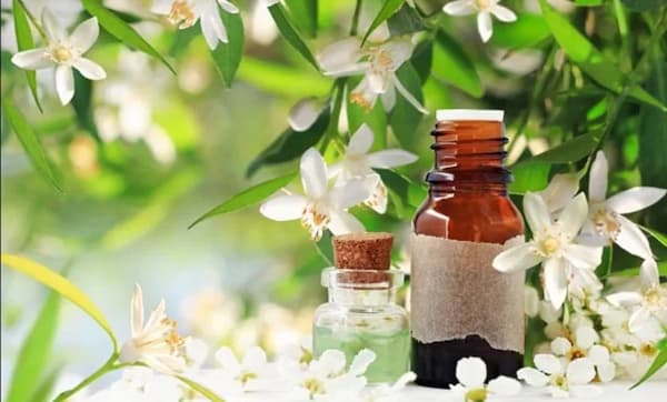 تصویر 3 از خرید و قیمت عرق بهار نارنج شیراز + فروش عمده