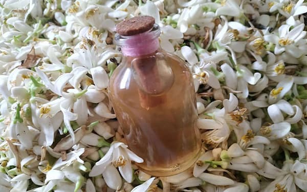تصویر 4 از خرید و قیمت عرق بهار نارنج شیراز + فروش عمده