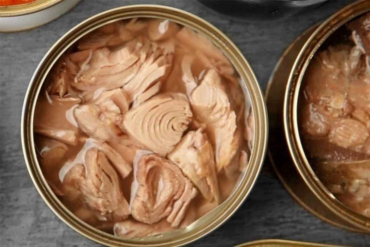 قیمت تن ماهی قلیه ماهی با کیفیت ارزان + خرید عمده