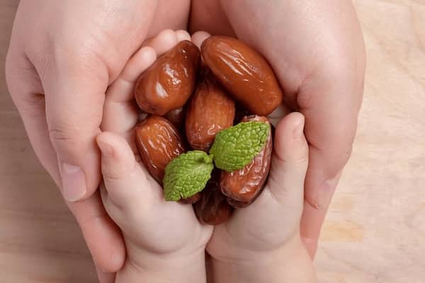 قیمت خرما مضافتی سراوان + خرید باور نکردنی