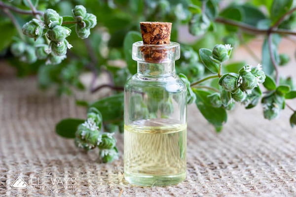 تصویر 3 از خرید عرق هل اصل + قیمت فروش استثنایی