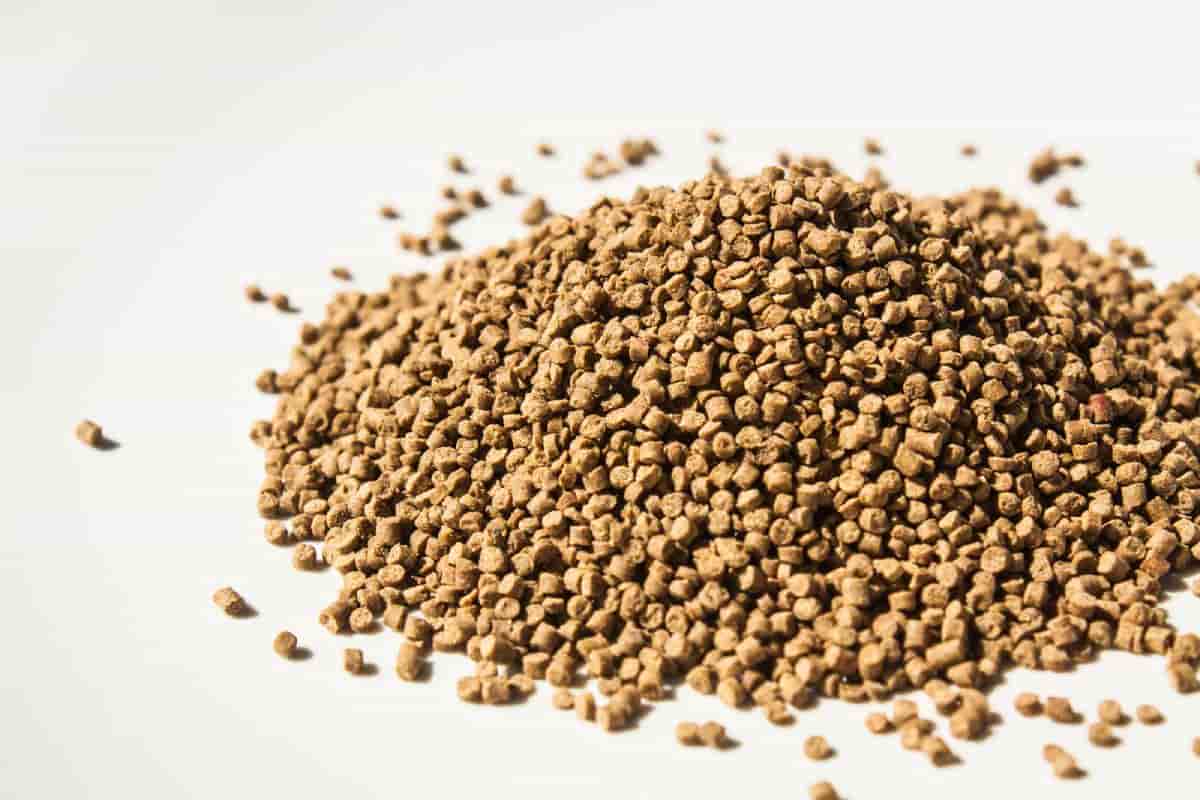 تصویر 4 از قیمت پودر ماهی آنچوی + خرید باور نکردنی