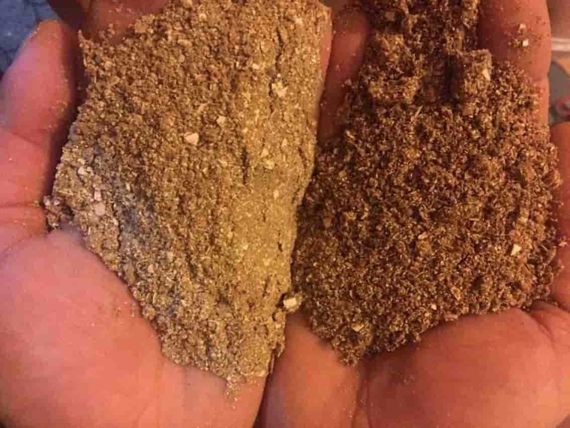 تصویر 5 از قیمت پودر ماهی آنچوی + خرید باور نکردنی