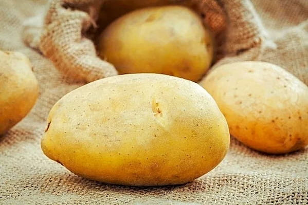 تصویر 5 از قیمت خرید سیب زمینی آبگوشتی + فروش ویژه