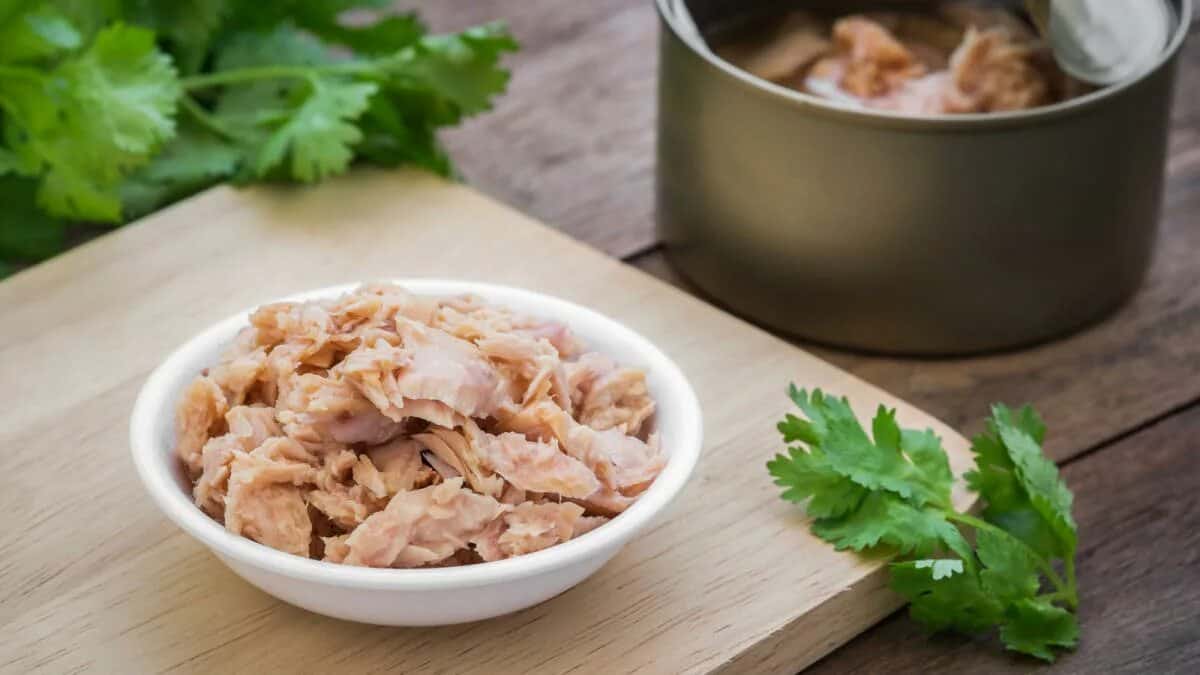 تصویر 3 از قیمت خرید تن ماهی شفا چابهار + فروش ویژه