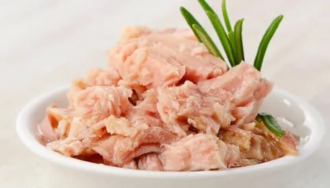 تصویر 4 از قیمت خرید تن ماهی چابهار ناندینا + فروش ویژه