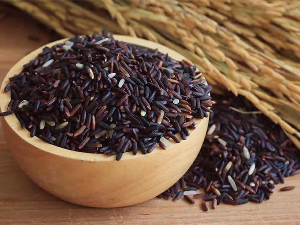 تصویر 4 از قیمت بذر بالنگو + خرید باور نکردنی