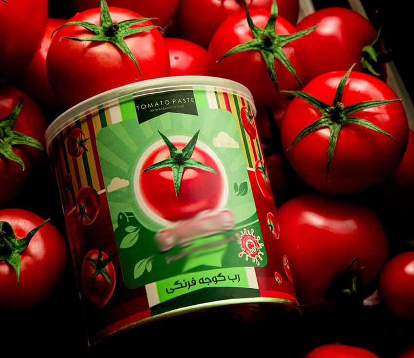 تصویر 2 از خرید رب گوجه طبیعی + قیمت فروش استثنایی