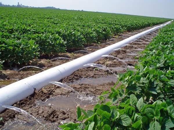 تصویر 5 از خرید و قیمت لوله پلی اتیلن کشاورزی + فروش عمده