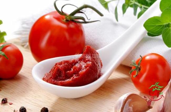 خرید و فروش رب گوجه عمده با شرایط فوق العاده