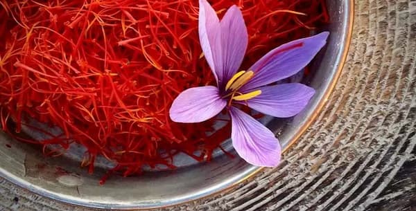 تصویر 1 از قیمت خرید زعفران فله ای مشهد با فروش عمده