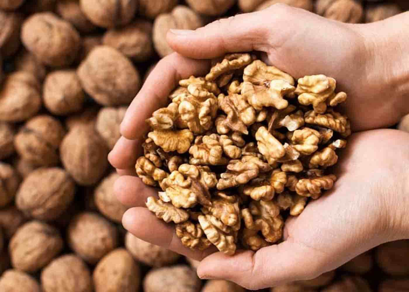 تصویر 1 از قیمت مغز گردو صادراتی + خرید باور نکردنی