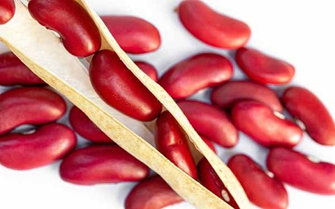 تصویر 3 از قیمت لوبیا قرمز بسته بندی با کیفیت ارزان + خرید عمده