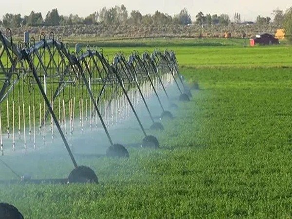 تصویر 5 از قیمت خرید شلنگ آبیاری قطره ای پلی اتیلن با فروش عمده