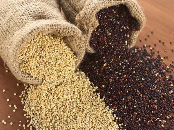 تصویر 4 از قیمت خرید کینوا سه رنگ + فروش عمده