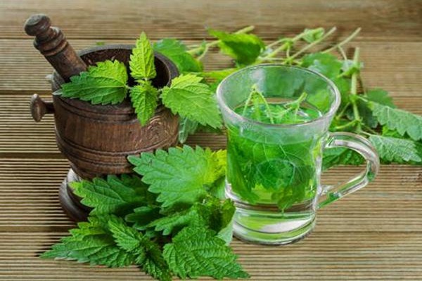 تصویر 5 از فروش عرق نعنا فلفلی برای معده + قیمت خرید به صرفه