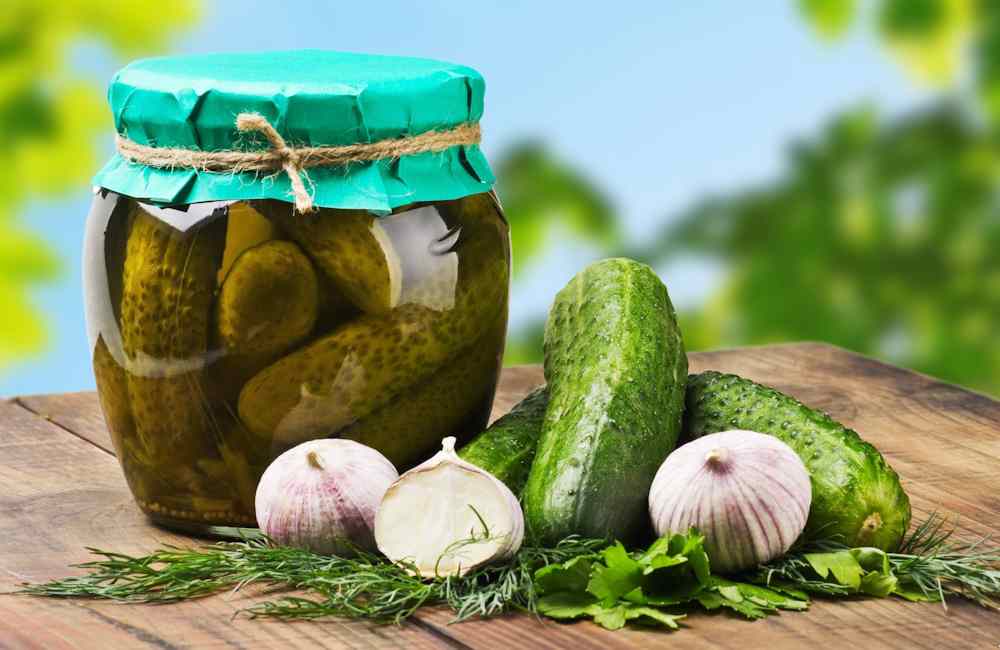 تصویر 2 از خرید خیارشور کارخانه ای + قیمت فروش استثنایی