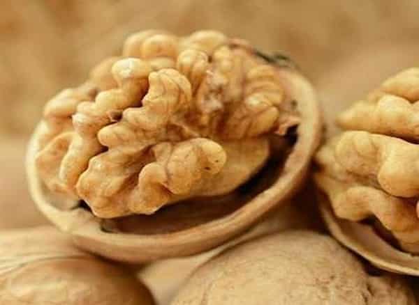 قیمت خرید مغز گردو خورشتی با فروش عمده