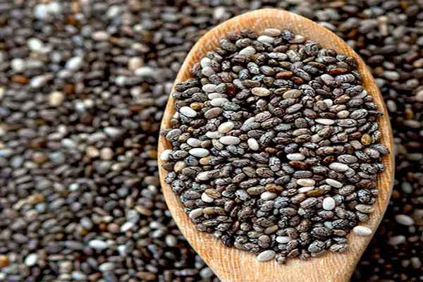 تصویر 5 از قیمت خرید دانه چیا فله + فروش ویژه
