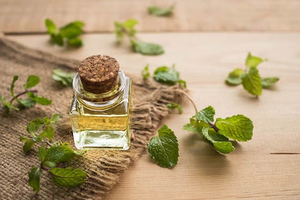 تصویر 3 از قیمت خرید عرق نعنا 20 لیتری با فروش عمده
