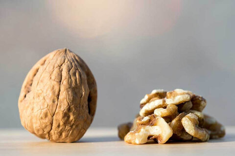 تصویر 3 از خرید گردو پوست سوزنی + قیمت فروش استثنایی