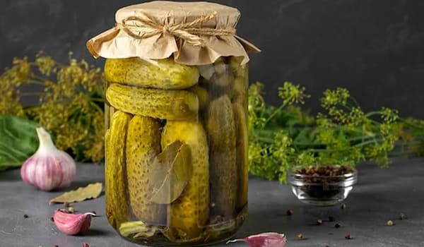 تصویر 5 از قیمت خیارشور ارگانیک با کیفیت ارزان + خرید عمده