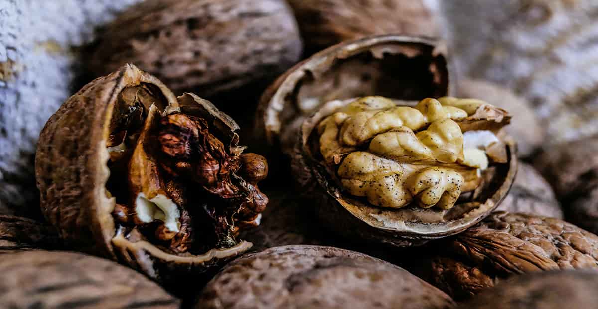 قیمت مغز گردو سیاه شده با کیفیت ارزان