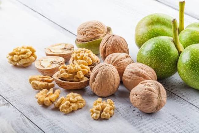 تصویر 4 از قیمت خرید گردو کاغذی اعلا + فروش ویژه