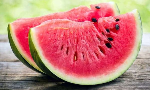 تصویر 5 از قیمت خرید هندوانه بیضی شکل عمده به صرفه و ارزان