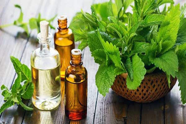 تصویر 1 از خرید شربت عرق بادرنجبویه + قیمت فروش استثنایی