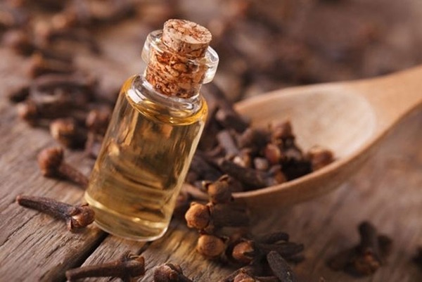 تصویر 3 از خرید و قیمت شربت عرق میخک + فروش عمده