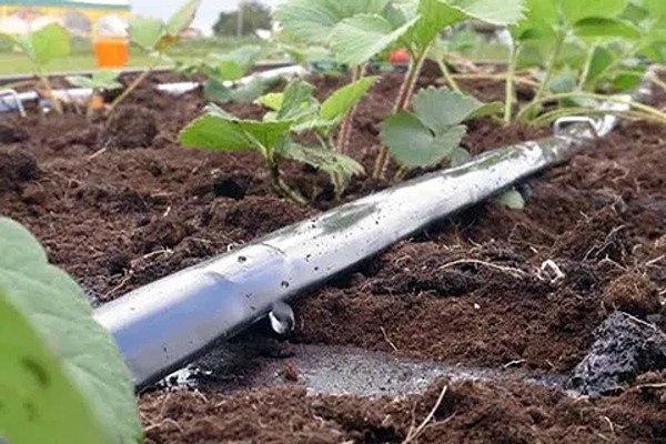 تصویر 1 از فروش نوار تیپ آبین پلاست + قیمت خرید به صرفه