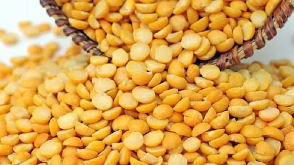 تصویر 5 از خرید و قیمت لپه نخود کفتری + فروش عمده
