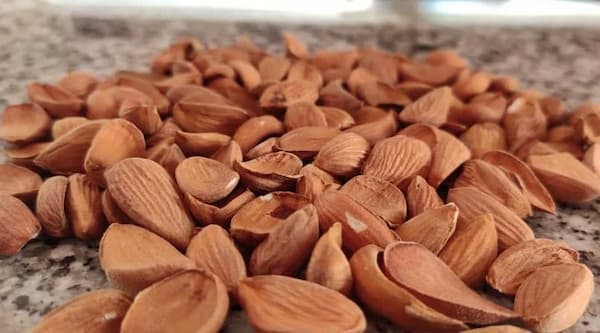 تصویر 4 از قیمت خرید مغز بادام مامایی عمده + فروش ویژه