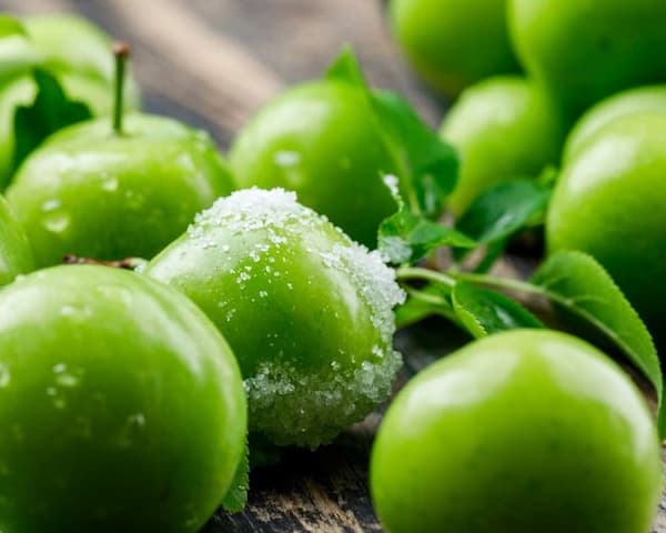 تصویر 4 از قیمت خرید آلوچه ترش سبز عمده به صرفه و ارزان