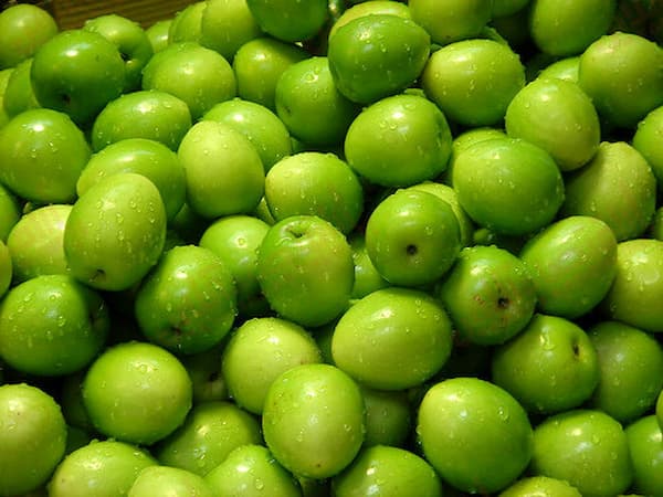 تصویر 4 از قیمت خرید آلوچه ترش سبز عمده به صرفه و ارزان