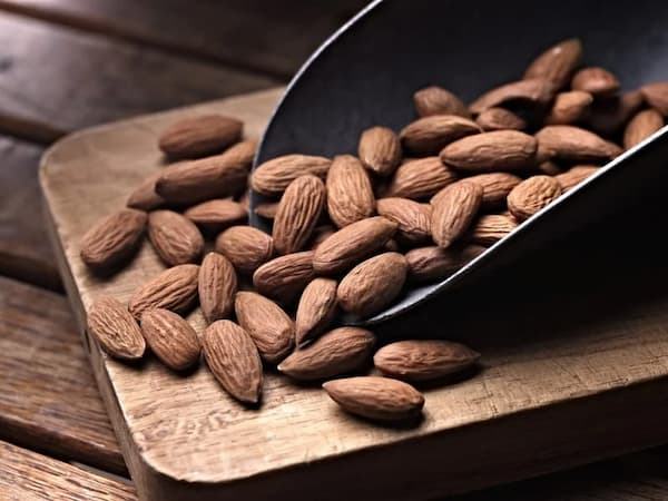 تصویر 2 از خرید و قیمت مغز بادام تلخ + فروش عمده