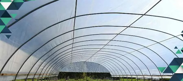 تصویر 5 از خرید پلاستیک برای سقف گلخانه + قیمت فروش استثنایی