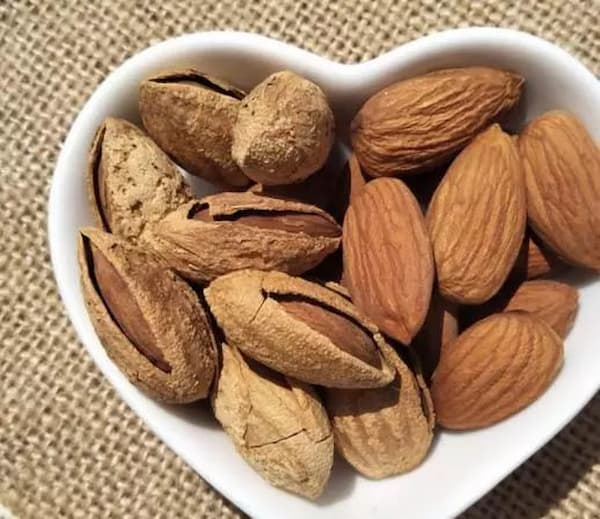 تصویر 5 از فروش مغز بادام کوهی + قیمت خرید به صرفه