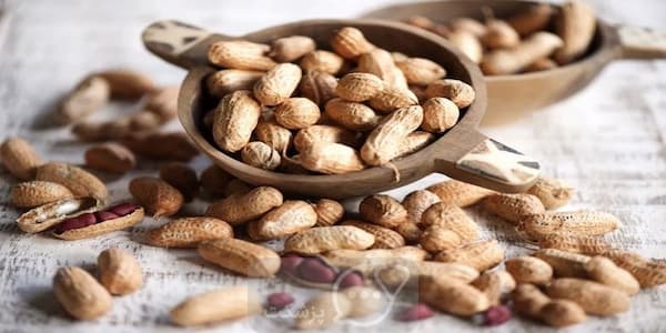 تصویر 1 از قیمت خرید بادام درختی بو داده شده + فروش ویژه