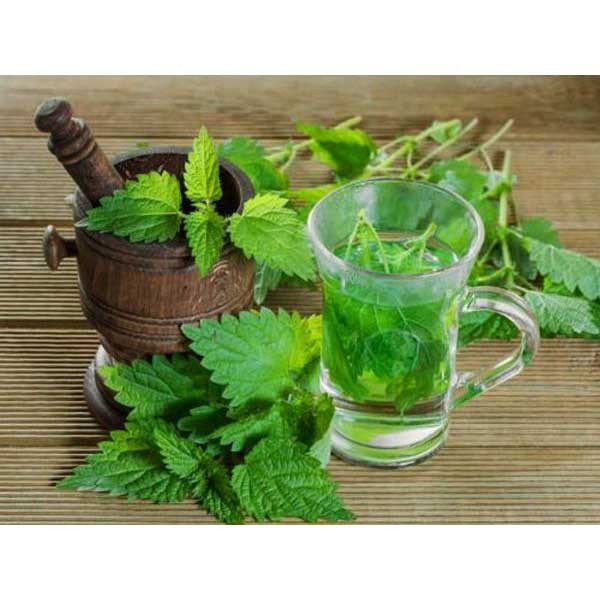 تصویر 1 از قیمت عرق نعناع کاشان + خرید باور نکردنی