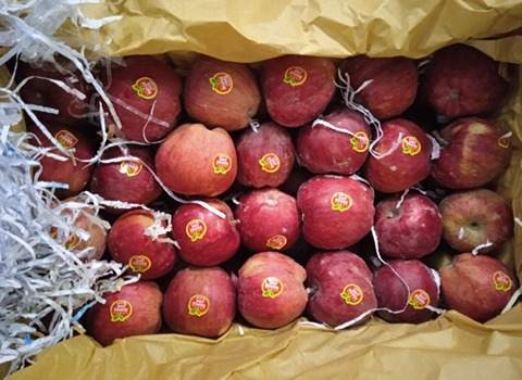 تصویر 4 از خرید و قیمت سیب گلاب اخشابی + فروش عمده