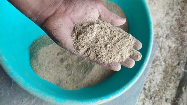 تصویر 2 از قیمت خرید پودر گوشت گوساله عمده به صرفه و ارزان