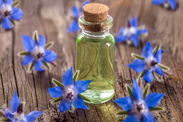 تصویر 2 از خرید عرق گل گاوزبان + قیمت فروش استثنایی