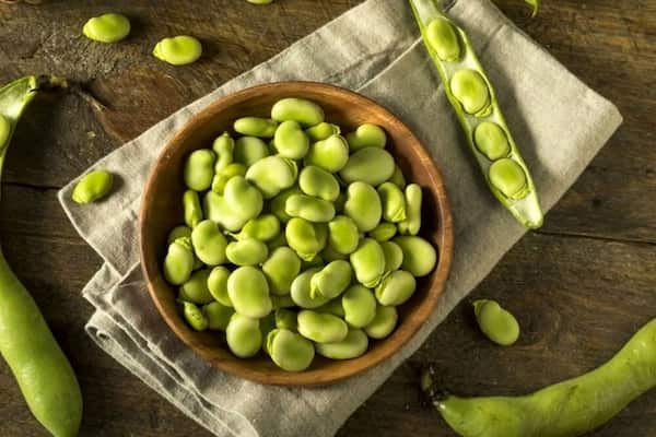 تصویر 5 از قیمت خرید باقالی منجمد پمینا + فروش ویژه