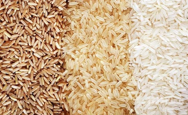تصویر 2 از قیمت خرید برنج ایرانی شمال + فروش ویژه