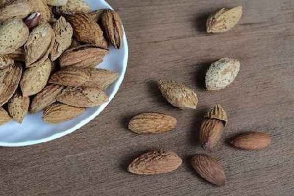 تصویر 1 از خرید بادام سنگی ایرانی + قیمت فروش استثنایی