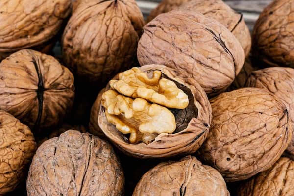 تصویر 4 از قیمت گردو سامان شهرکرد + خرید باور نکردنی